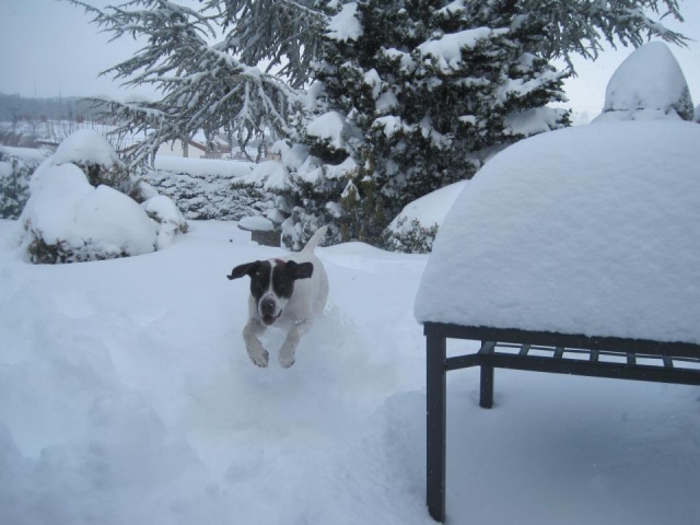 Temporada de nieve